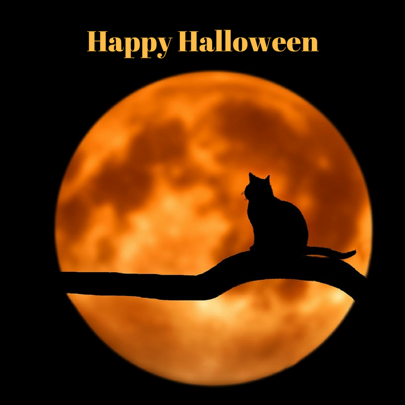 Halloween Hauntings